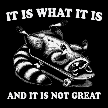 Funny Raccoon Meme It Is What It Is And It's Not Great Retro T-Shirt