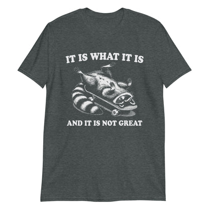 Funny Raccoon Meme It Is What It Is And It's Not Great Retro T-Shirt