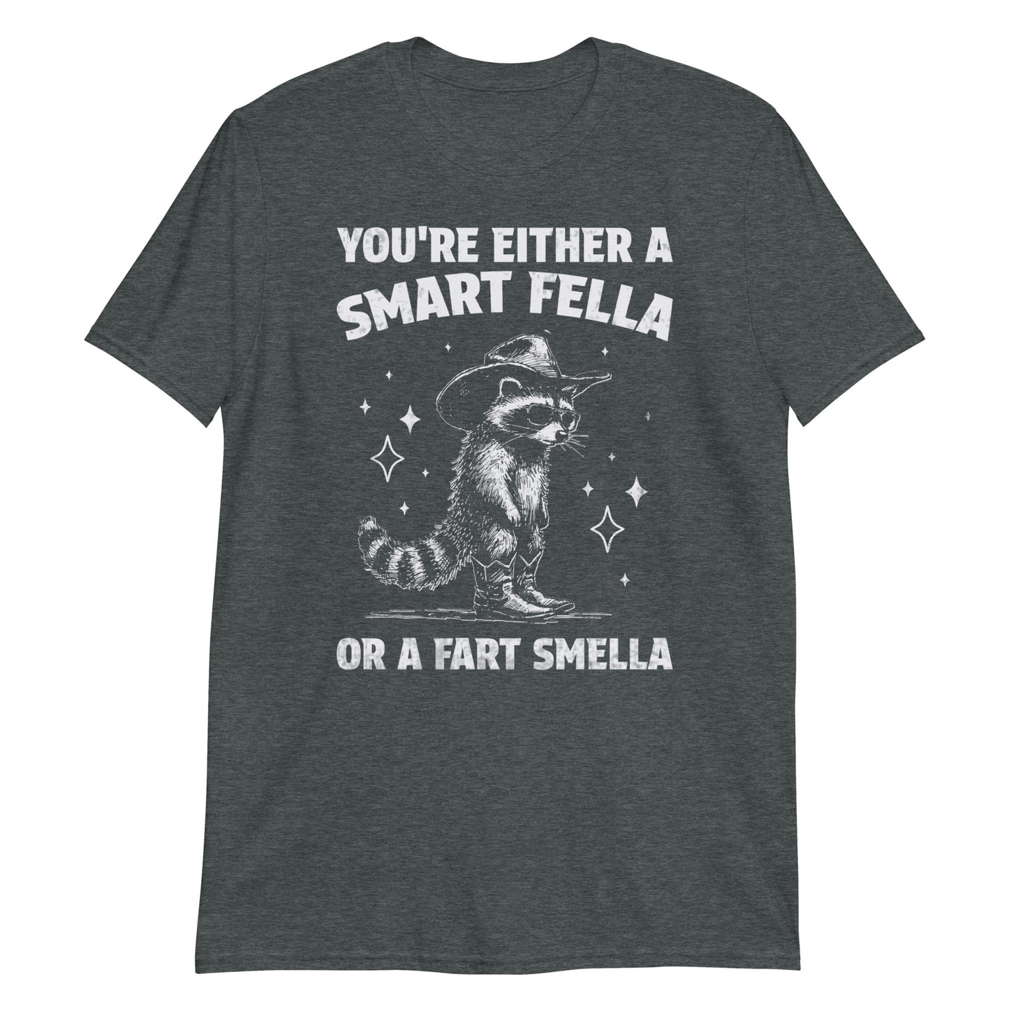 You're Either A Smart Fella Or A Fart Smella Funny Retro Raccoon Meme T-Shirt