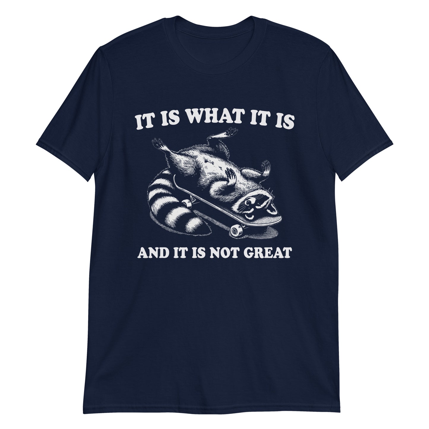 Funny Raccoon Meme It Is What It Is And It's Not Great Retro T-Shirt